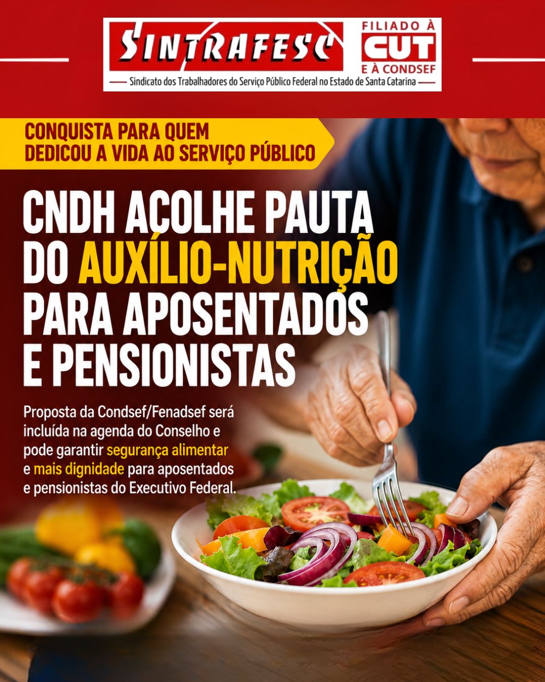 Conselho Nacional de Direitos Humanos acolhe pauta do Auxílio-Nutrição para servidores