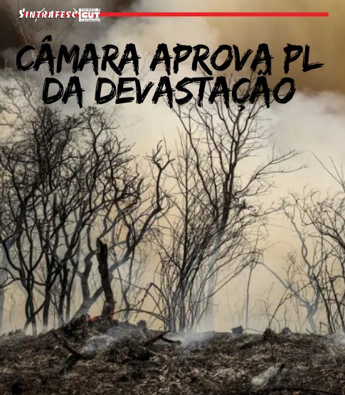 Câmara aprova PL da Devastação. Veja quais são os riscos que o Brasil corre
