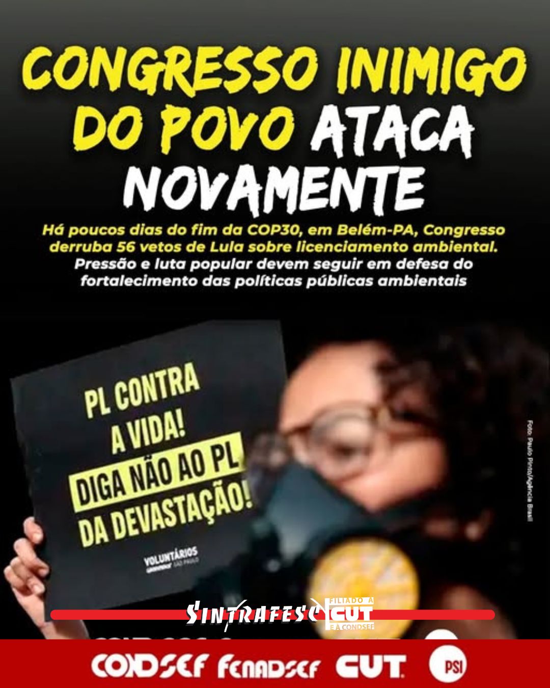 Em afronta às demandas da sociedade, Congresso derruba 56 vetos ao 'PL da Devastação'