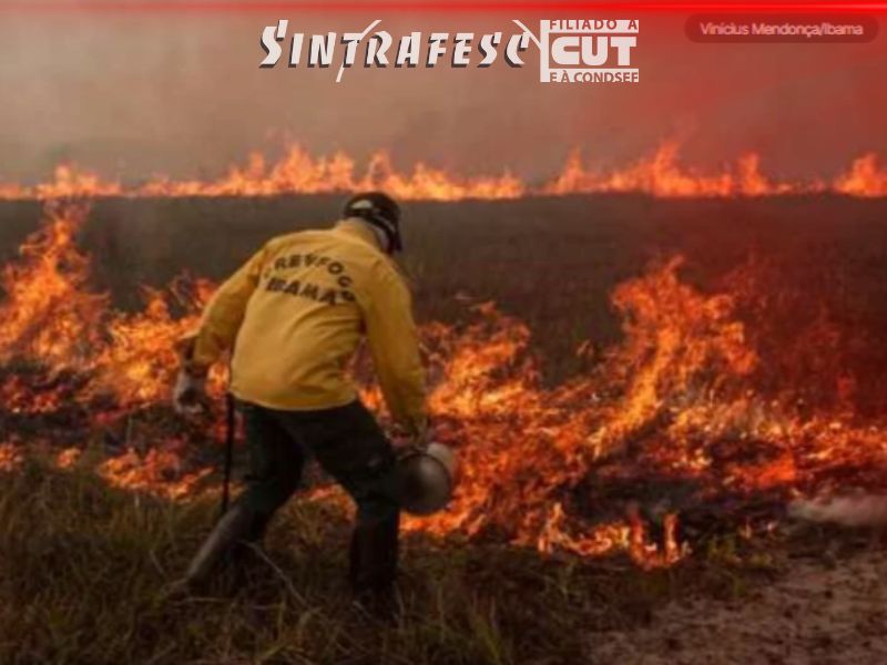 Ibama sofre corte de 19% em recurso para combate ao fogo às vésperas do período seco