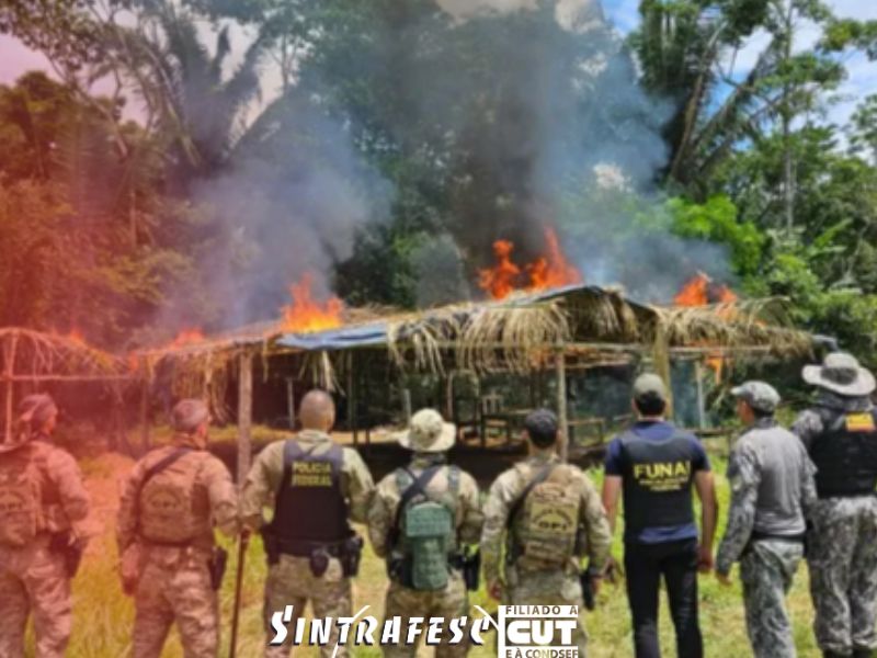 PF e Funai retiram cerca de 50 invasores de terra indígena em Rondônia